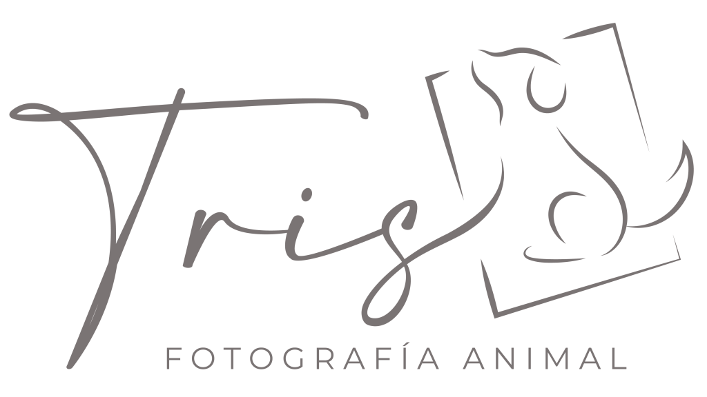 logotipo tris fotografia cafe